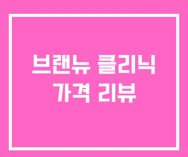 브랜뉴 클리닉 가격 리뷰