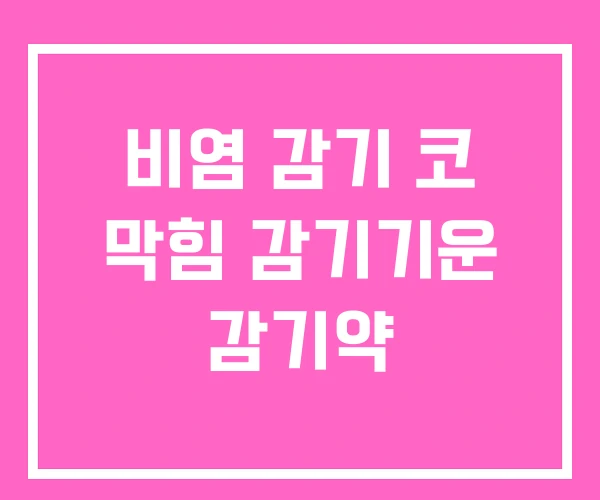 비염 감기 코 막힘 감기기운 감기약