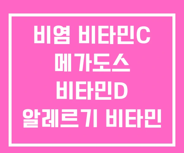비염 비타민C 메가도스 비타민D 알레르기 비타민