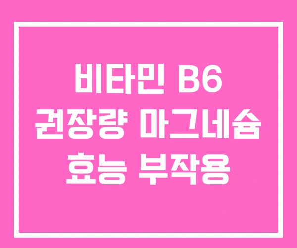 비타민 B6 권장량 마그네슘 효능 부작용