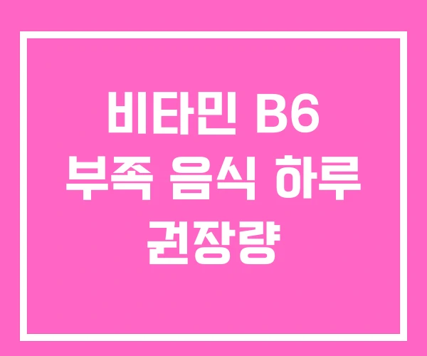 비타민 B6 부족 음식 하루 권장량