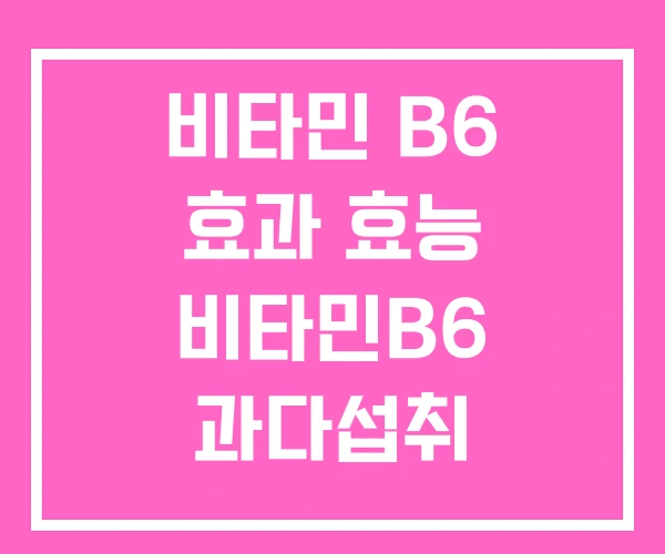 비타민 B6 효과 효능 비타민B6 과다섭취
