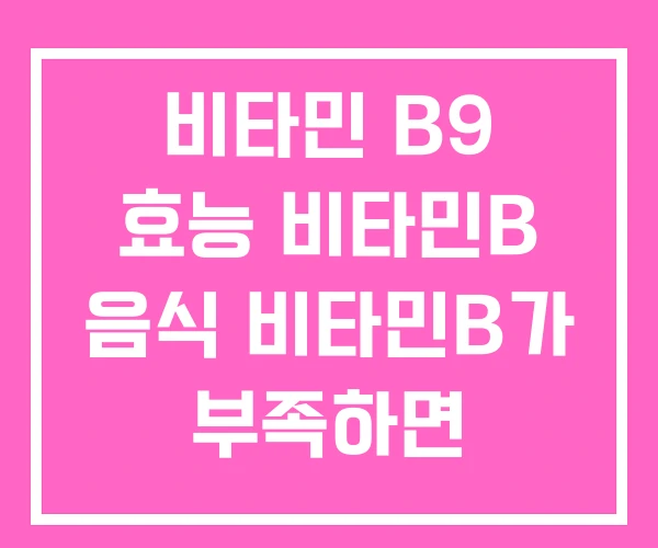 비타민 B9 효능 비타민B 음식 비타민B가 부족하면