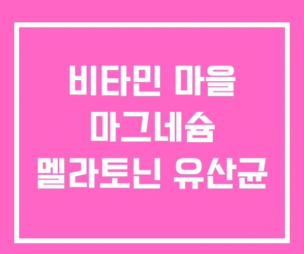 비타민 마을 마그네슘 멜라토닌 유산균