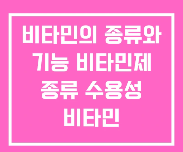 비타민의 종류와 기능 비타민제 종류 수용성 비타민