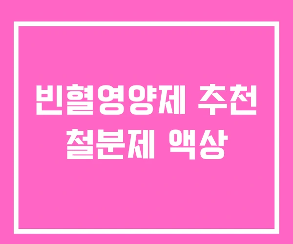 빈혈영양제 추천 철분제 액상 빈혈영양제 추천 철분제 액상
