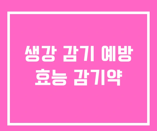 생강 감기 예방 효능 감기약