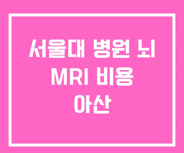 서울대 병원 뇌 MRI 비용 아산 서울대 병원 뇌 MRI 비용 아산