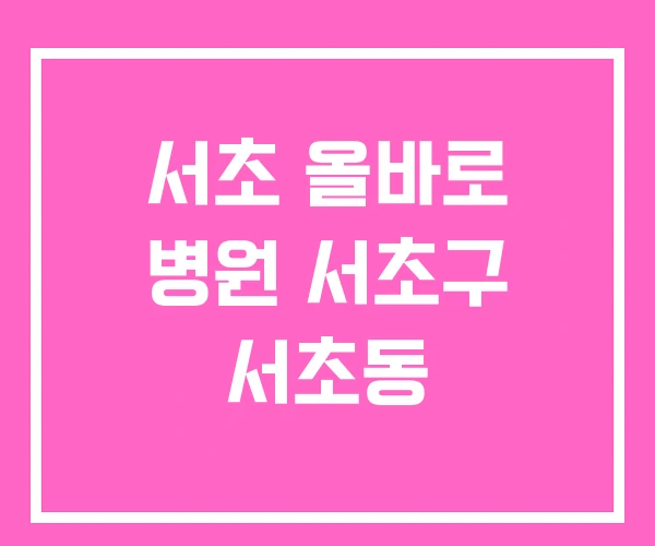 서초 올바로 병원 서초구 서초동 서초 올바로 병원 서초구 서초동