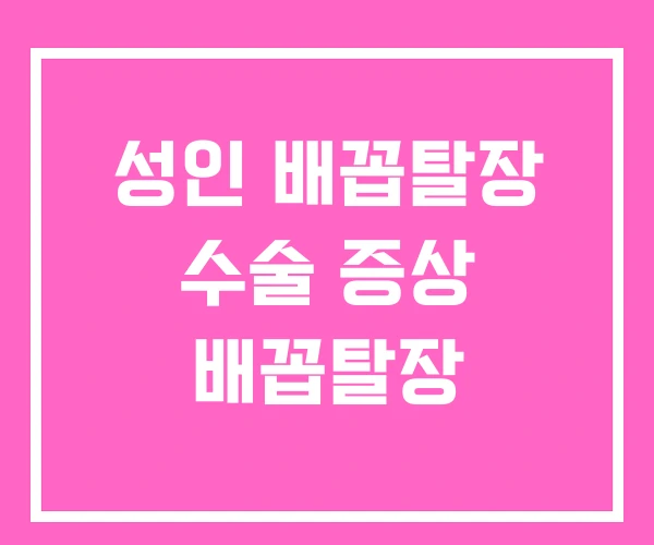 성인 배꼽탈장 수술 증상 배꼽탈장 성인 배꼽탈장 수술 증상 배꼽탈장