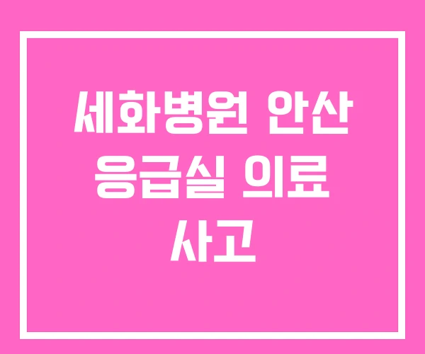 세화병원 안산 응급실 의료 사고 세화병원 안산 응급실 의료 사고