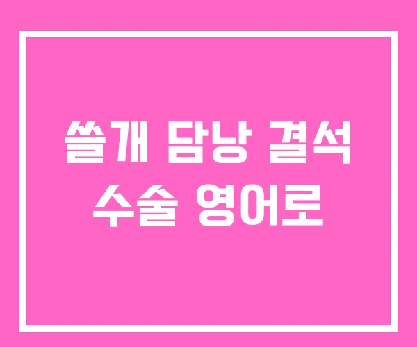 쓸개 담낭 결석 수술 영어로 쓸개 담낭 결석 수술 영어로