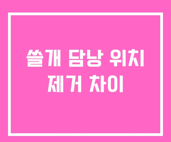 쓸개 담낭 위치 제거 차이 쓸개 담낭 위치 제거 차이