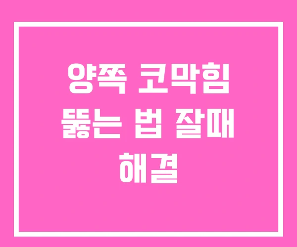 양쪽 코막힘 뚫는 법 잘때 해결 양쪽 코막힘 뚫는 법 잘때 해결