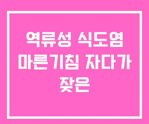 역류성 식도염 마른기침 자다가 잦은 역류성 식도염 마른기침 자다가 잦은