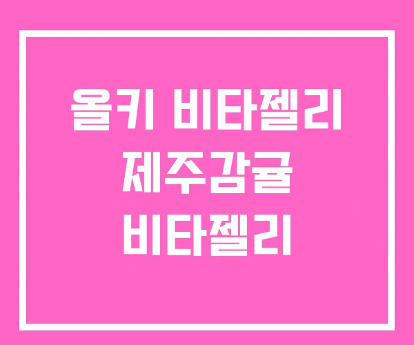 올키 비타젤리 제주감귤 비타젤리 올키 비타젤리 제주감귤 비타젤리