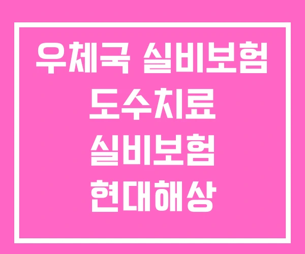 우체국 실비보험 도수치료 실비보험 현대해상 우체국 실비보험 도수치료 실비보험 현대해상