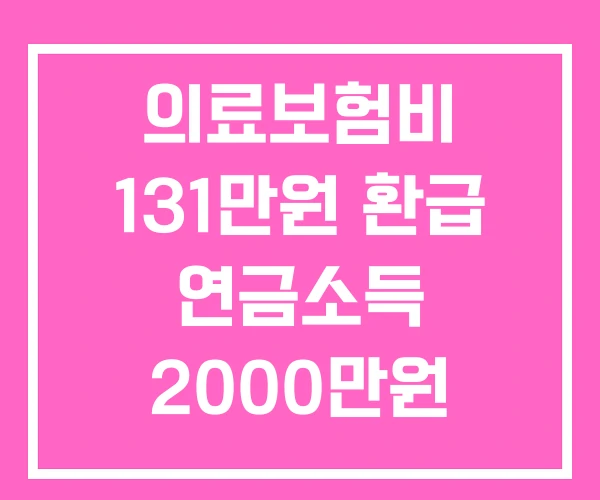 의료보험비 131만원 환급 연금소득 2000만원