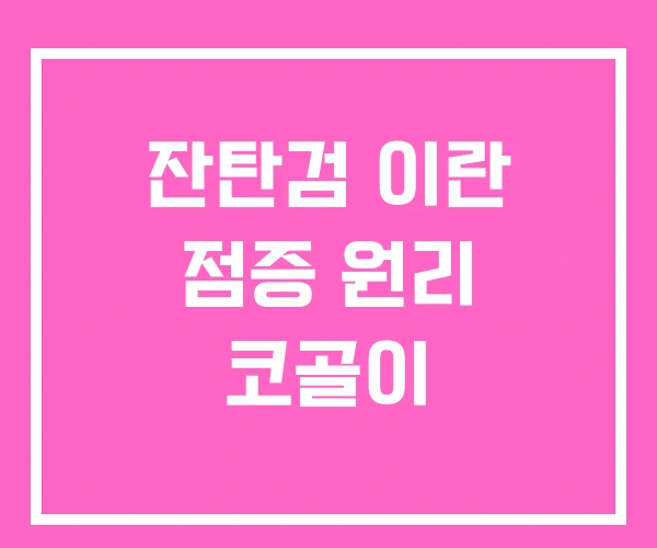 잔탄검 이란 점증 원리 코골이 잔탄검 이란 점증 원리 코골이