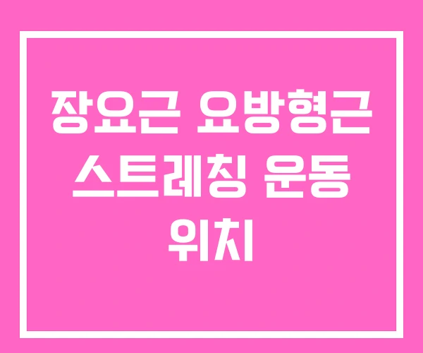 장요근 요방형근 스트레칭 운동 위치 장요근 요방형근 스트레칭 운동 위치