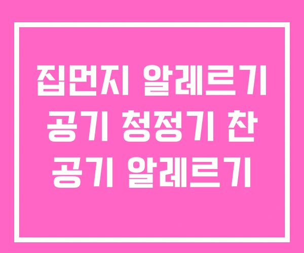 집먼지 알레르기 공기 청정기 찬 공기 알레르기