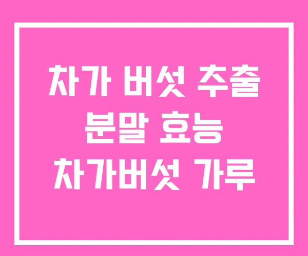 차가 버섯 추출 분말 효능 차가버섯 가루