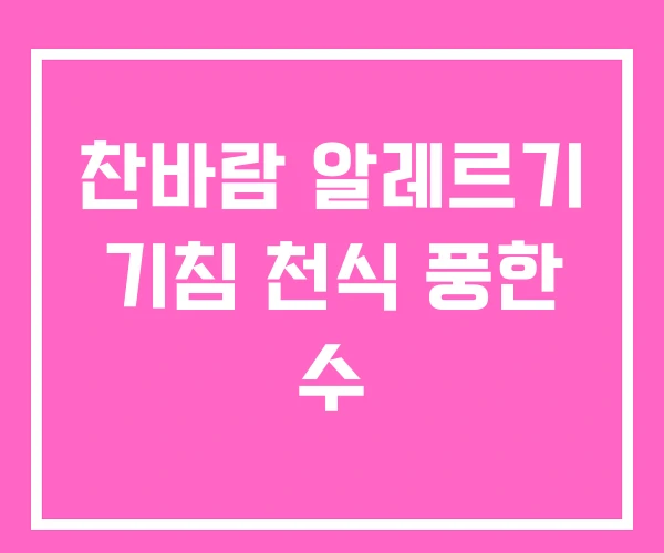 찬바람 알레르기 기침 천식 풍한 수