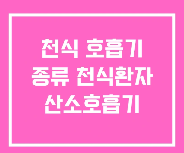 천식 호흡기 종류 천식환자 산소호흡기 천식 호흡기 종류 천식환자 산소호흡기