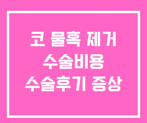 코 물혹 제거 수술비용 수술후기 증상 코 물혹 제거 수술비용 수술후기 증상