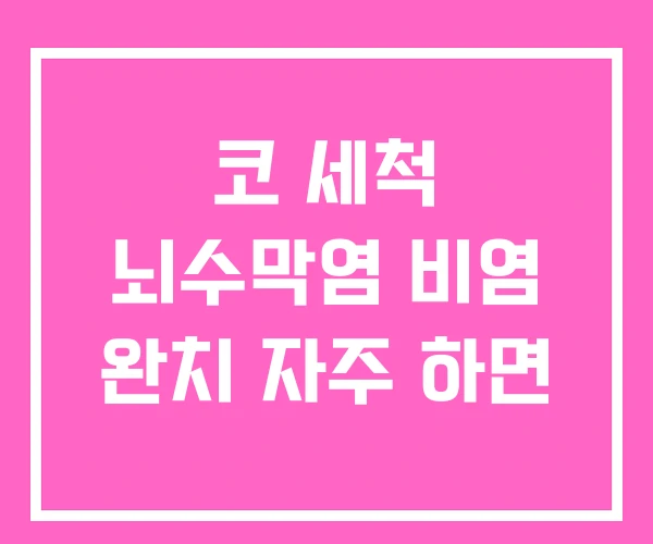 코 세척 뇌수막염 비염 완치 자주 하면 코 세척 뇌수막염 비염 완치 자주 하면