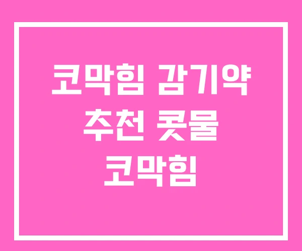 코막힘 감기약 추천 콧물 코막힘 코막힘 감기약 추천 콧물 코막힘