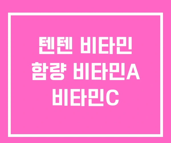 텐텐 비타민 함량 비타민A 비타민C 텐텐 비타민 함량 비타민A 비타민C