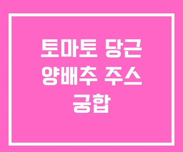 토마토 당근 양배추 주스 궁합 토마토 당근 양배추 주스 궁합