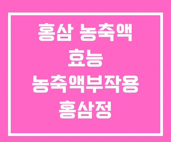 홍삼 농축액 효능 농축액부작용 홍삼정