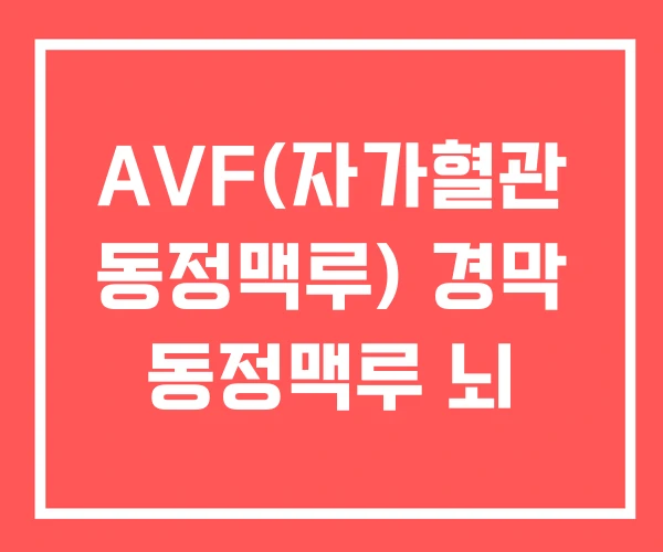 AVF(자가혈관 동정맥루) 경막 동정맥루 뇌 AVF(자가혈관 동정맥루) 경막 동정맥루 뇌