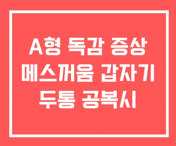 A형 독감 증상 메스꺼움 갑자기 두통 공복시 A형 독감 증상 메스꺼움 갑자기 두통 공복시