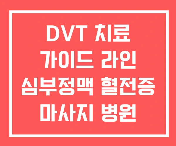 DVT 치료 가이드 라인 심부정맥 혈전증 마사지 병원