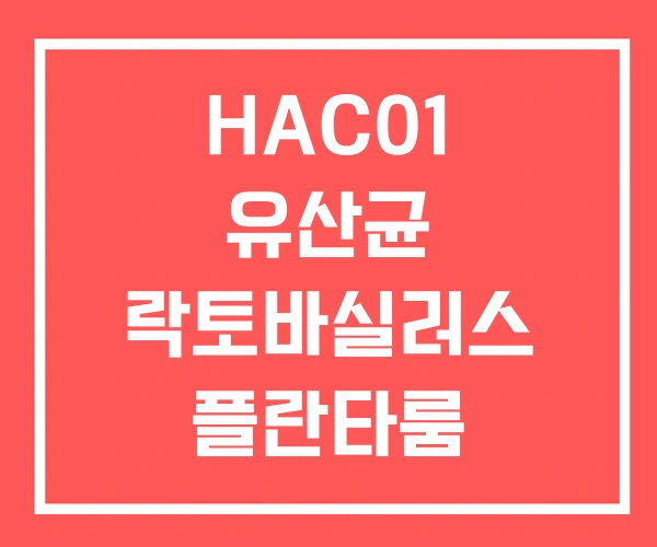 HAC01 유산균 락토바실러스 플란타룸 혈당유산균 추천 HAC01 유산균 락토바실러스 플란타룸 혈당유산균 추천