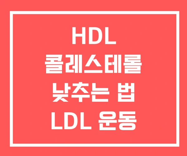 HDL 콜레스테롤 낮추는 법 LDL 운동 LDL콜레스테롤 HDL 콜레스테롤 낮추는 법 LDL 운동 LDL콜레스테롤