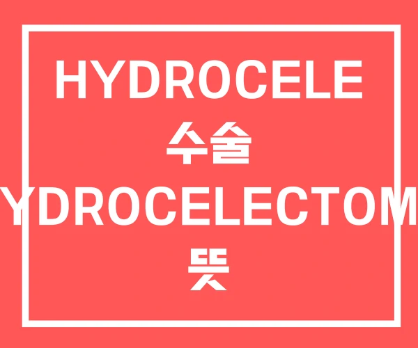 HYDROCELE 수술 HYDROCELECTOMY 뜻