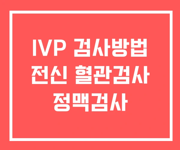 IVP 검사방법 전신 혈관검사 정맥검사
