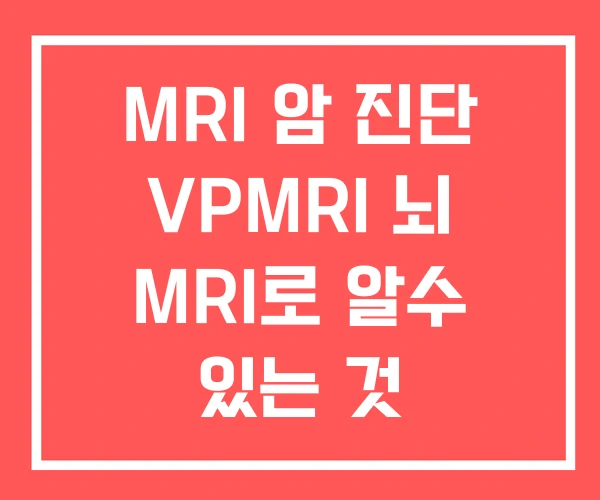 MRI 암 진단 VPMRI 뇌 MRI로 알수 있는 것