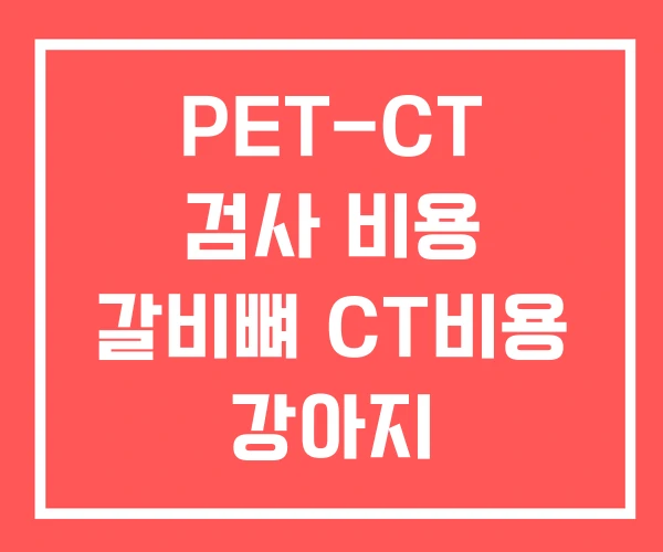 PET-CT 검사 비용 갈비뼈 CT비용 강아지