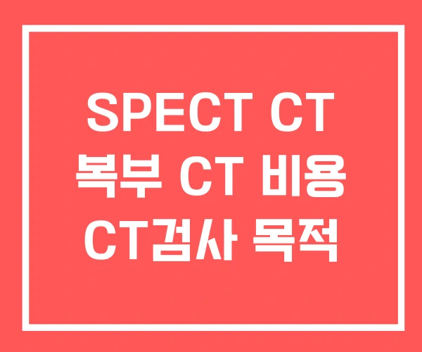SPECT CT 복부 CT 비용 CT검사 목적 SPECT CT 복부 CT 비용 CT검사 목적