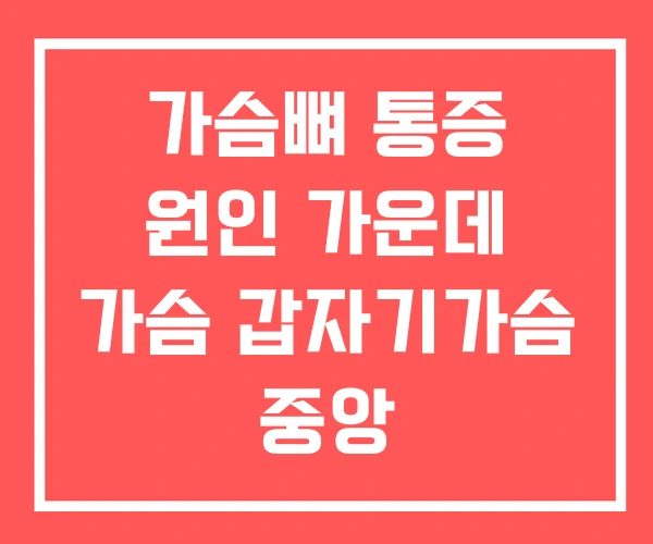 가슴뼈 통증 원인 가운데 가슴 갑자기가슴 중앙 가슴뼈 통증 원인 가운데 가슴 갑자기가슴 중앙