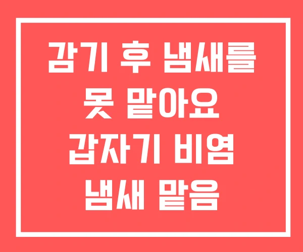 감기 후 냄새를 못 맡아요 갑자기 비염 냄새 맡음