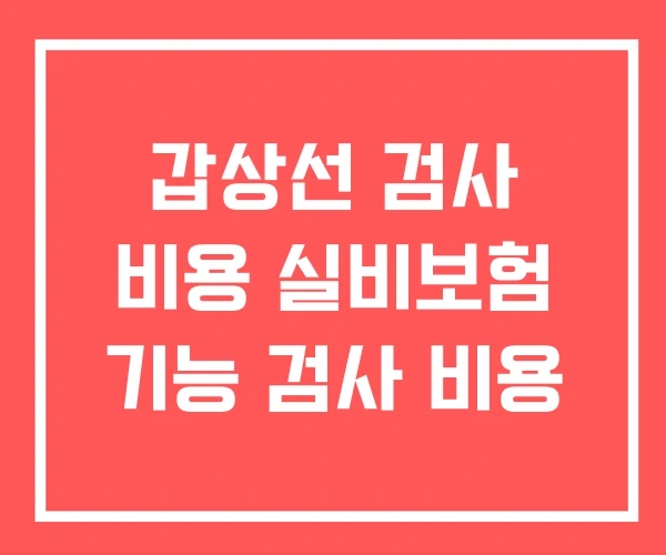 갑상선 검사 비용 실비보험 기능 검사 비용 갑상선 검사 비용 실비보험 기능 검사 비용