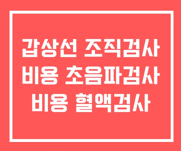 갑상선 조직검사 비용 초음파검사 비용 혈액검사 갑상선 조직검사 비용 초음파검사 비용 혈액검사