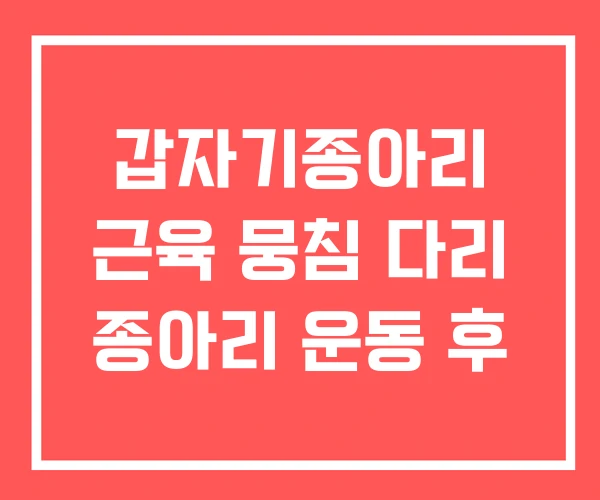 갑자기종아리 근육 뭉침 다리 종아리 운동 후