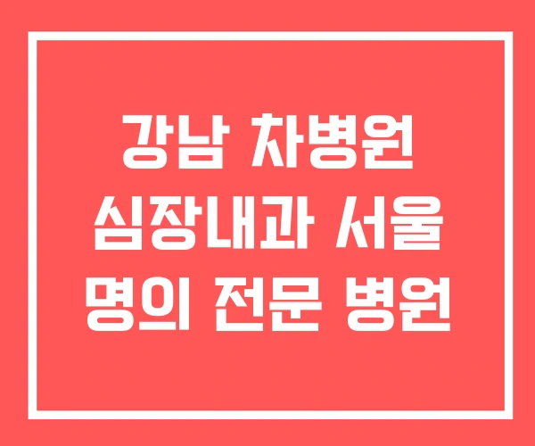 강남 차병원 심장내과 서울 명의 전문 병원